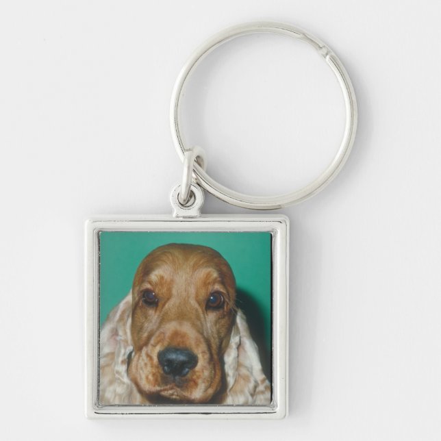 English Cocker Spaniel Key Ring (Front)