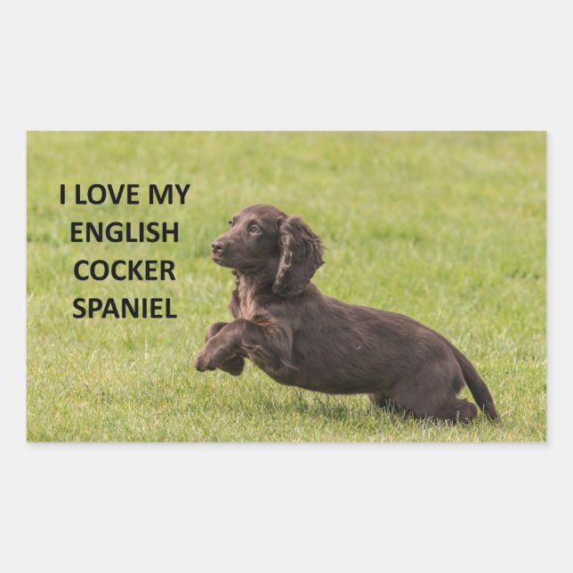 english cocker spaniel love with picture rectangular sticker (Front)