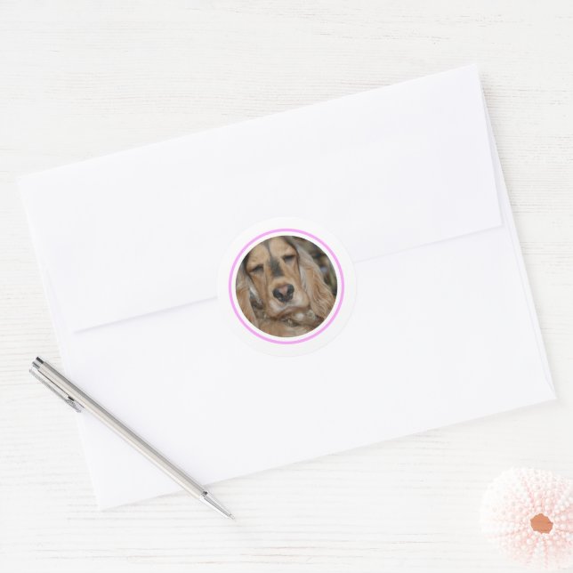 English Cocker Spaniel minimal modern Classic Round Sticker (Envelope)