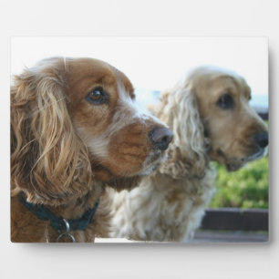 English Cocker Spaniel Plaque