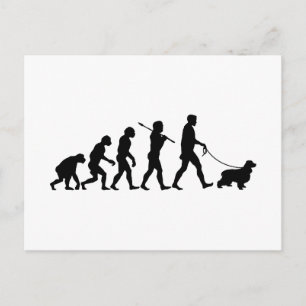 English Cocker Spaniel Postcard