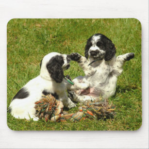 English Cocker Spaniel Mouse Mats Mouse Pads Zazzle Uk