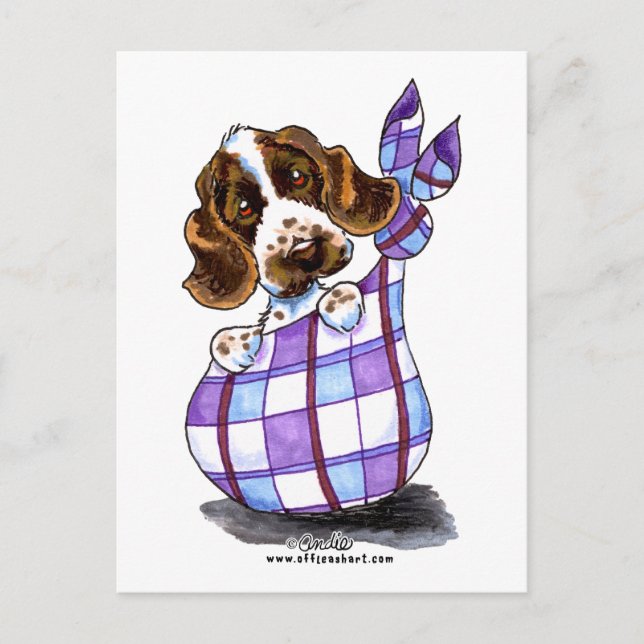 English Cocker Spaniel Sack Puppy Postcard (Front)