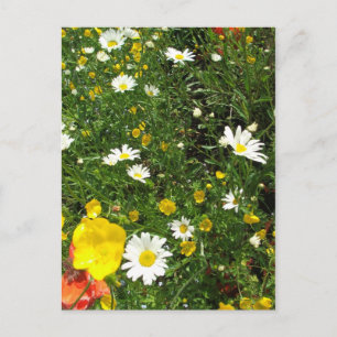English Cottage Garden Postcard