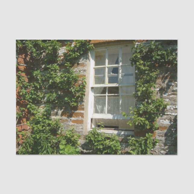 English Cottage I Charming Tissue Paper (Front)