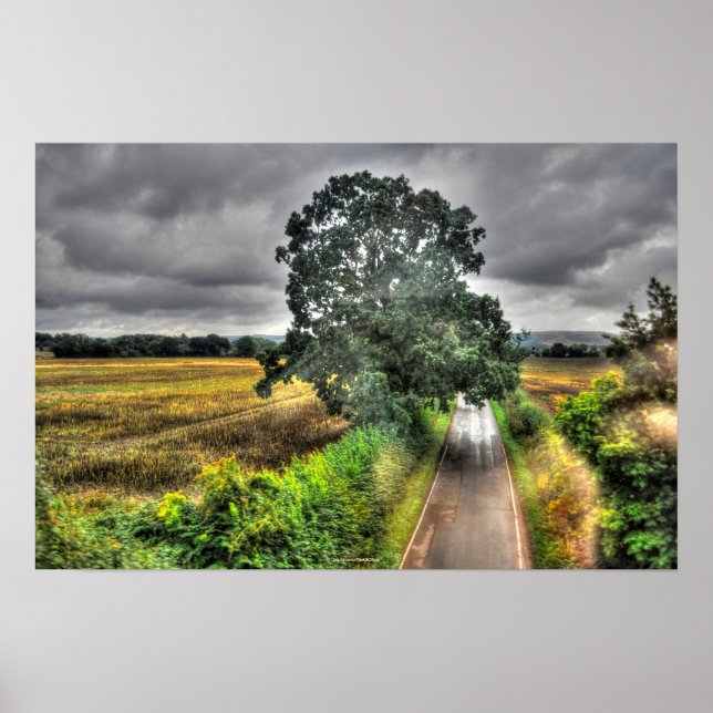 English Country Road Landscape HDR Photo Print (Front)