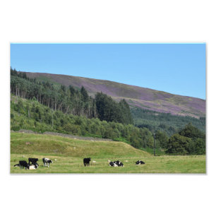 English Countryside  Photo Print