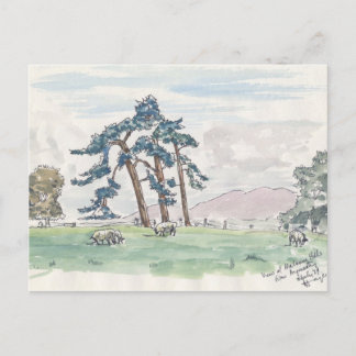 English Countryside Postcard