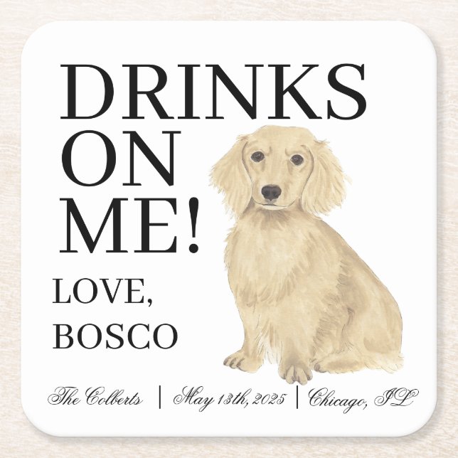 English Cream Dachshund Dog Wedding Square Paper Coaster (Front)