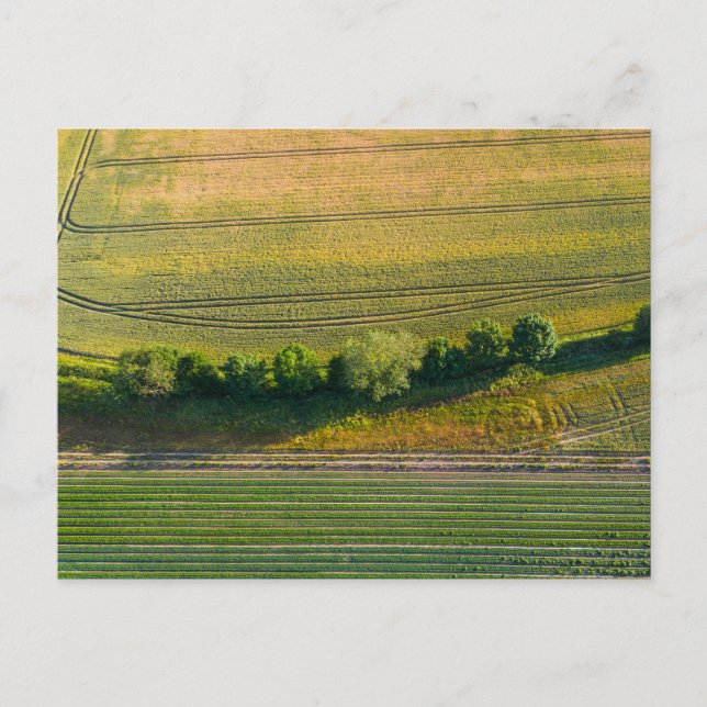 English Farm Pattern Matrix  Holiday Postcard (Front)