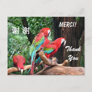 English/French/Chinese thank you card
