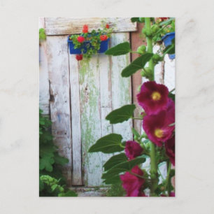 English Garden Hollyhocks and Flowers Postcard