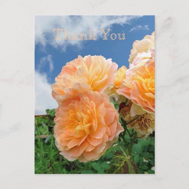 English Garden Postcard (Front)