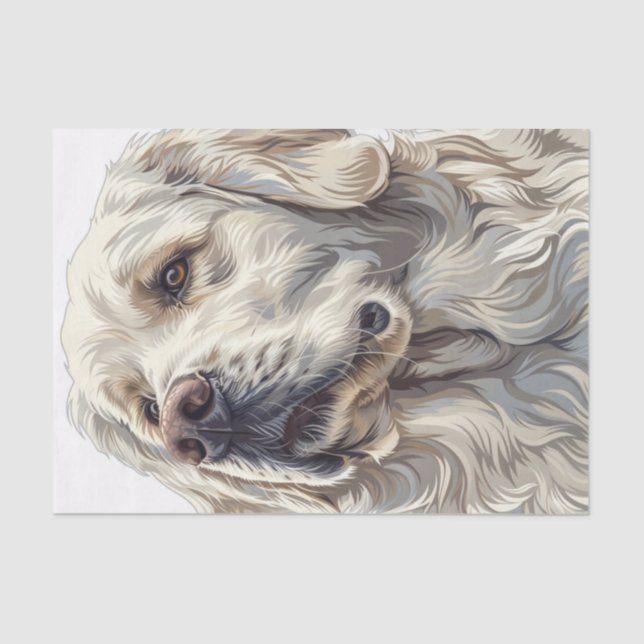 English Golden Retriever4 Tissue Paper (Front)