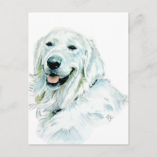 English Golden Retriever Post Cards