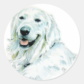 English Golden Retriever Stickers