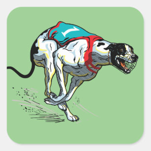 english greyhound race dog square sticker