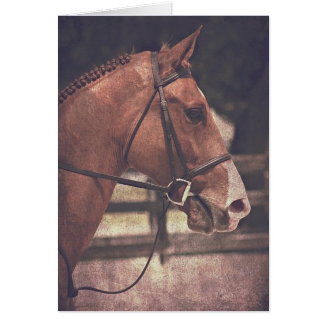 English Horse (Front)