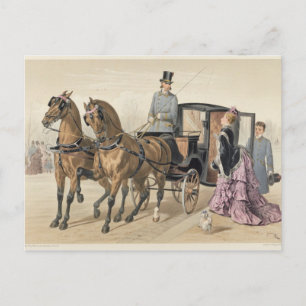 English Horses Postcard