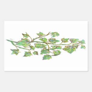 English Ivy Rectangular Sticker