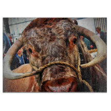 English Long Horn Cow Cattle Poster