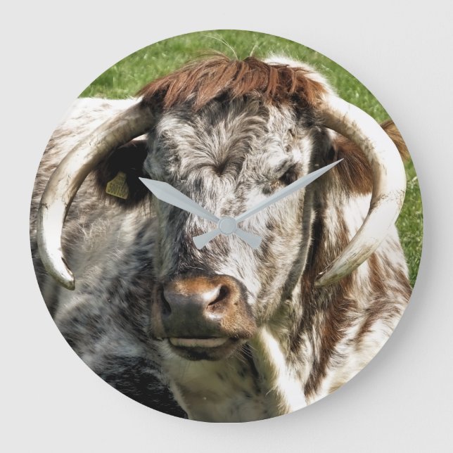 ENGLISH LONGHORN COW   LARGE CLOCK (Front)