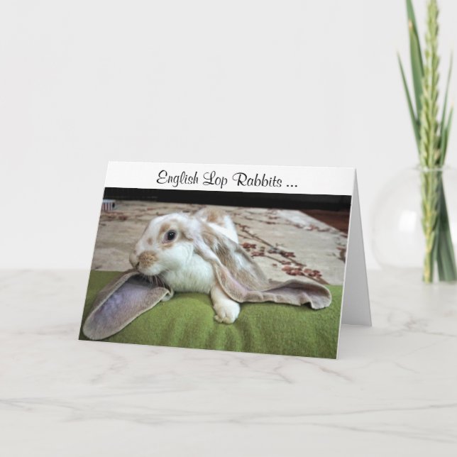 English Lop Greeting Card (Front)