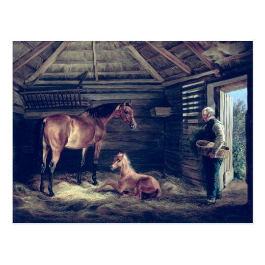 English Mare With Her Foals, 1833 Postcard