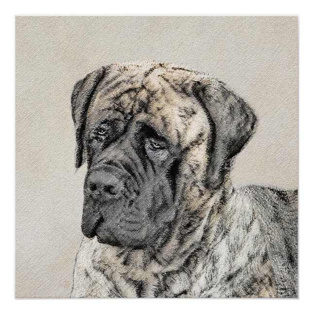 English Mastiff (Brindle) Painting - Dog Art Poster (Front)