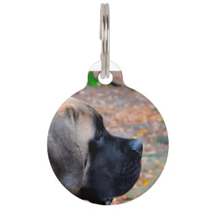 English Mastiff Dog. Pet Tag
