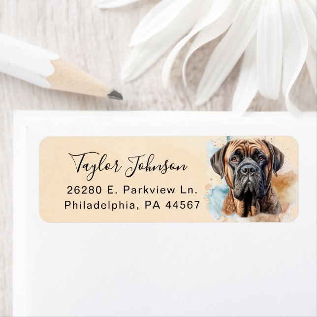 English Mastiff Dog Return Address (Insitu)