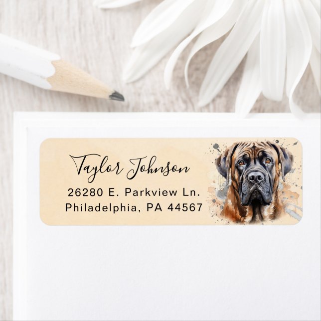 English Mastiff Dog Return Address (Insitu)