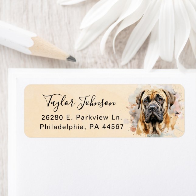 English Mastiff Dog Return Address (Insitu)