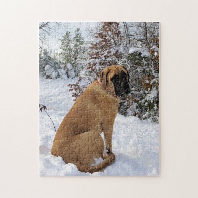 English Mastiff dog "Snow Pose" photo puzzle (Vertical)