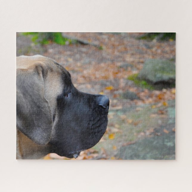 English Mastiff. Jigsaw Puzzle (Horizontal)