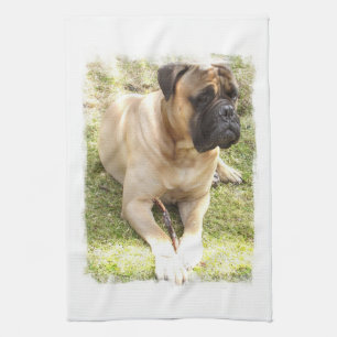 English Mastiff Kitchen Towel