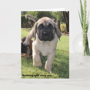 english mastiff puppy valentine wish holiday card