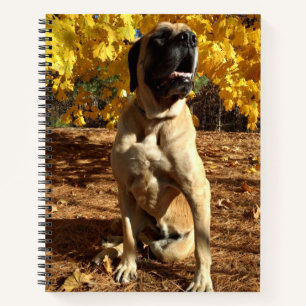 English Mastiff spiral notebook