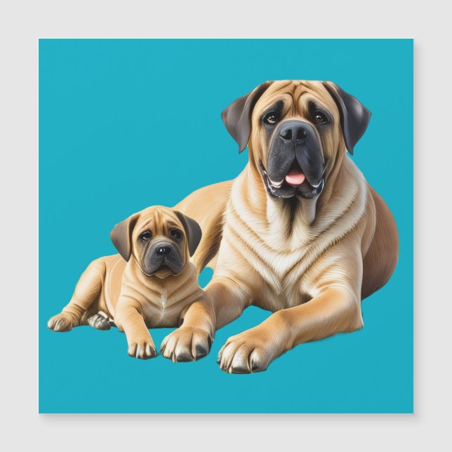 English Mastiff with child on vacation (Front)