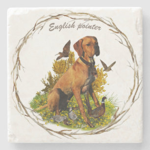 English pointer, bird hunting  stone coaster