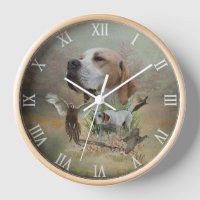 English Pointer