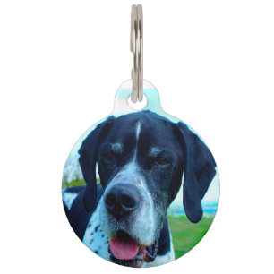 English Pointer Dog. Pet Tag