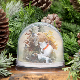 English Pointer,Hunting Snowglobe