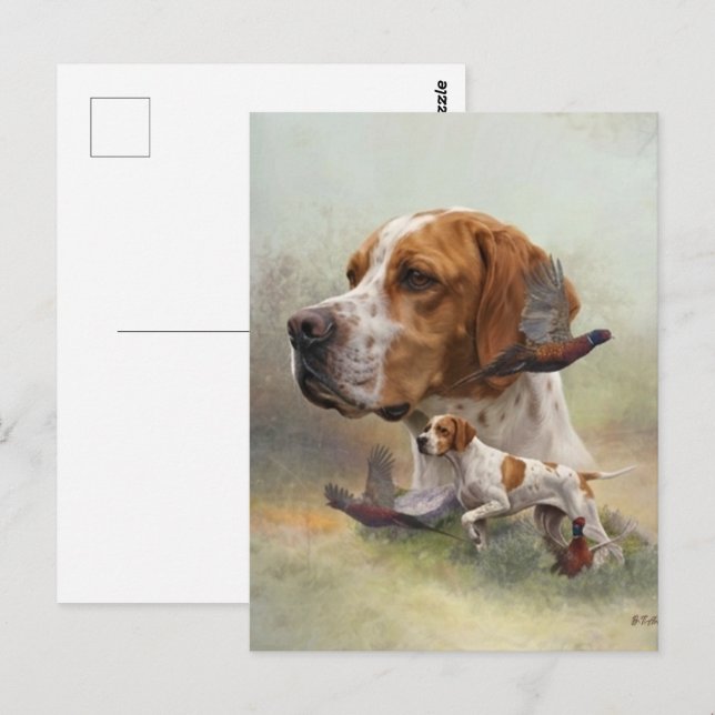 English Pointer Postcard (Front/Back)