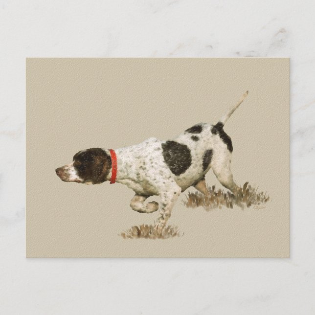 English Pointer Postcard (Front)