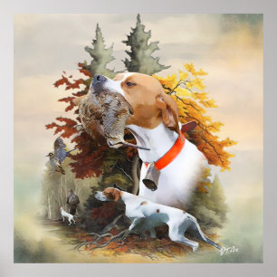 English Pointer  Poster