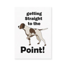 English Pointer Straight To The Point Dog Trainer