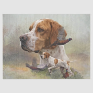 English Pointer Tissue Paper
