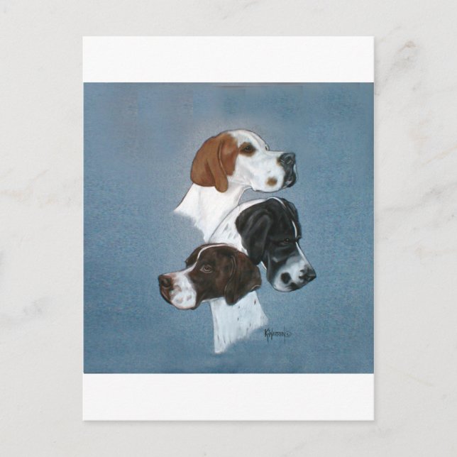 English Pointer Trio Head Study Postcard (Front)