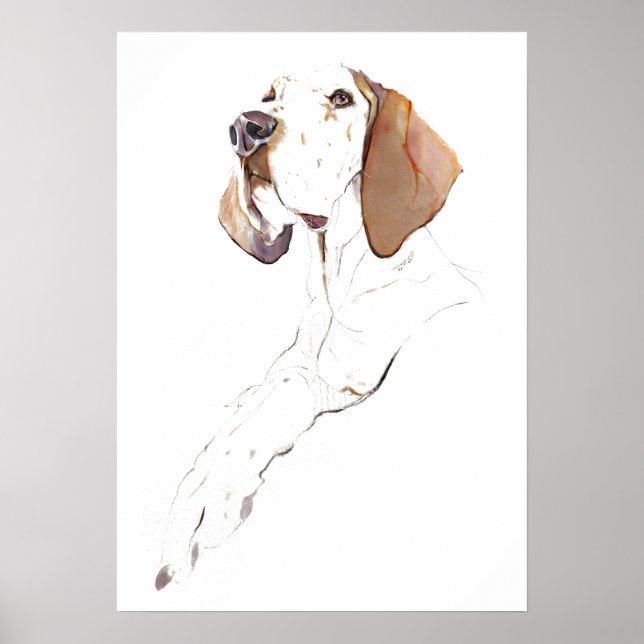 English Pointer Wall Art Poster, Dog Art Print (Front)